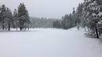 photo thumbnail #9