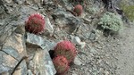 photo thumbnail #3