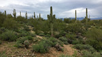 photo thumbnail #2