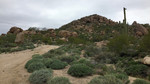 photo thumbnail #1