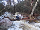 photo thumbnail #2