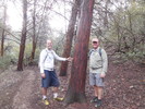 photo thumbnail #4