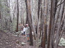 photo thumbnail #10