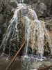 photo thumbnail #13