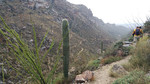 photo thumbnail #2