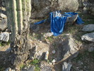 photo thumbnail #9