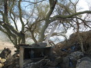 photo thumbnail #13