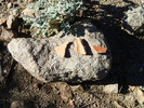 photo thumbnail #5
