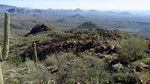 photo thumbnail #11