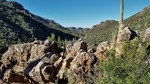 photo thumbnail #5
