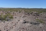 photo thumbnail #3