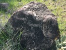 photo thumbnail #12