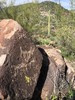 photo thumbnail #13