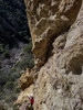photo thumbnail #4