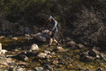 photo thumbnail #11