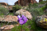 photo thumbnail #5