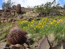 photo thumbnail #3