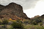 photo thumbnail #7