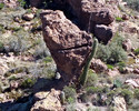photo thumbnail #11