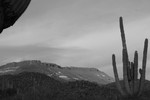 photo thumbnail #12