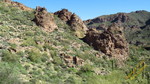 photo thumbnail #11