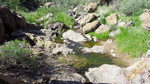 photo thumbnail #13