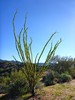 photo thumbnail #2