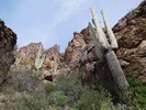 photo thumbnail #7