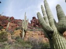 photo thumbnail #8