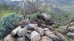 photo thumbnail #13