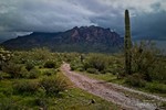 photo thumbnail #3