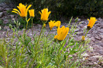photo thumbnail #2