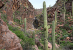 photo thumbnail #9
