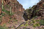 photo thumbnail #11