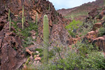 photo thumbnail #15