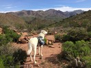 photo thumbnail #2