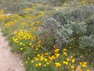 photo thumbnail #4