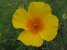 photo thumbnail #11