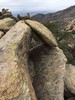 photo thumbnail #11