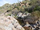 photo thumbnail #8