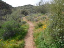 photo thumbnail #12