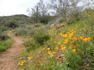 photo thumbnail #13