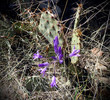 photo thumbnail #11