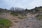 photo thumbnail #2