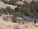photo thumbnail #15