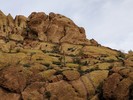 photo thumbnail #13