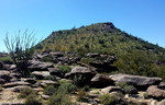 photo thumbnail #3