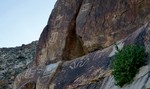 photo thumbnail #15