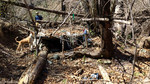 photo thumbnail #4