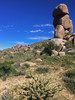 photo thumbnail #6